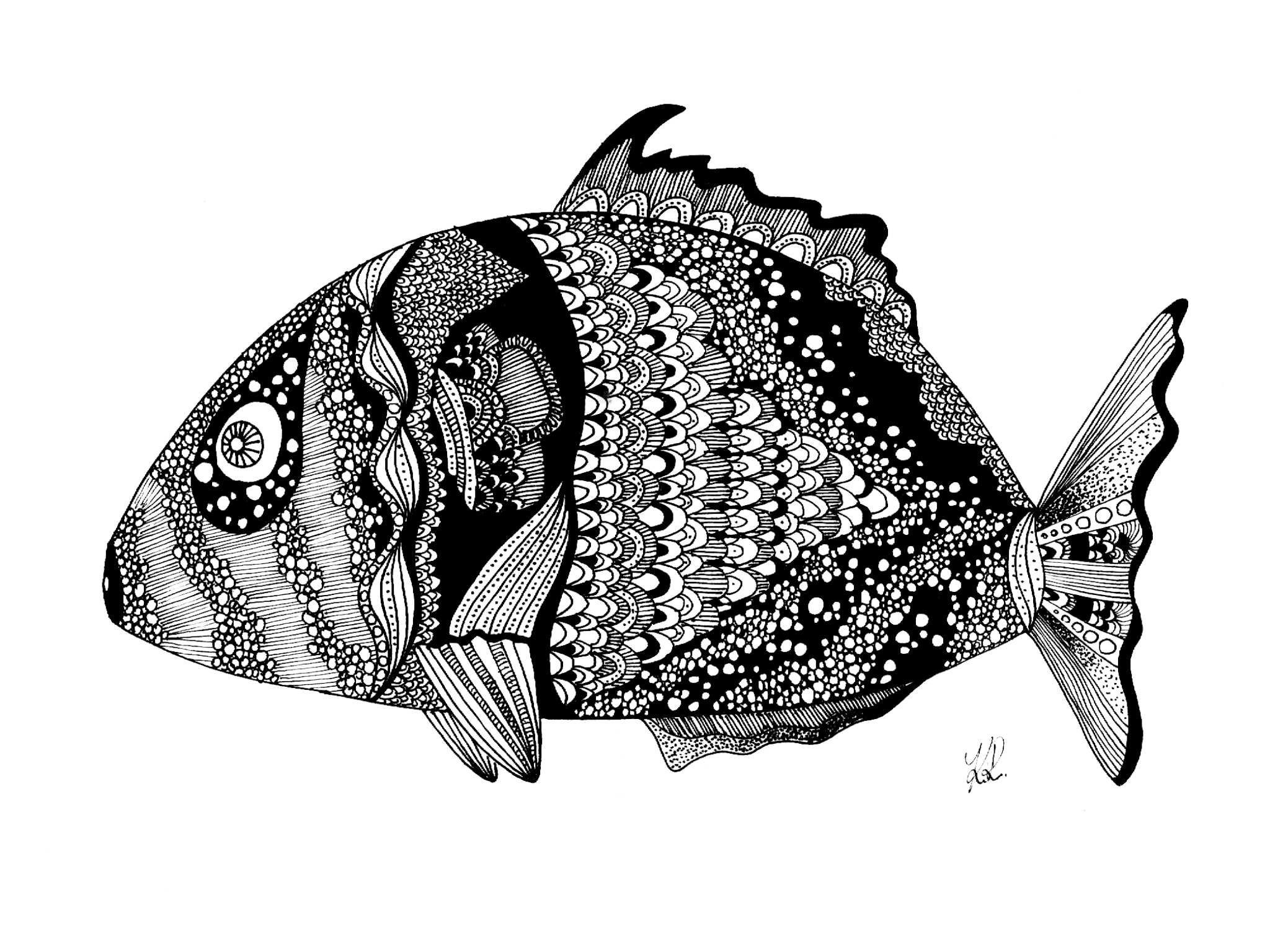 Fish.jpg